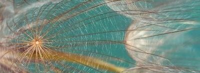 The invisible always surrounds the visible – Tency