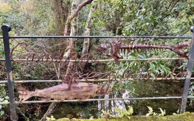 Galicia, Alentejo and Inspiring Encounters: Our First Steps in the Iberian Peninsula