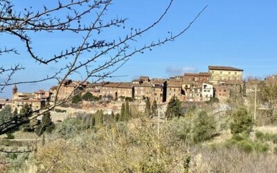 Italy 3: Etica Vivente, Cell for a New Life